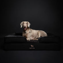 Noah & Paw orthopedic sofa dog bed in denim with memory foam and cooling gel, black, size XL (45 x 35 x 11 in)
