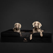 Denim Orthopedic Pet Bed, Memory Foam, Infused with Cooling Gel