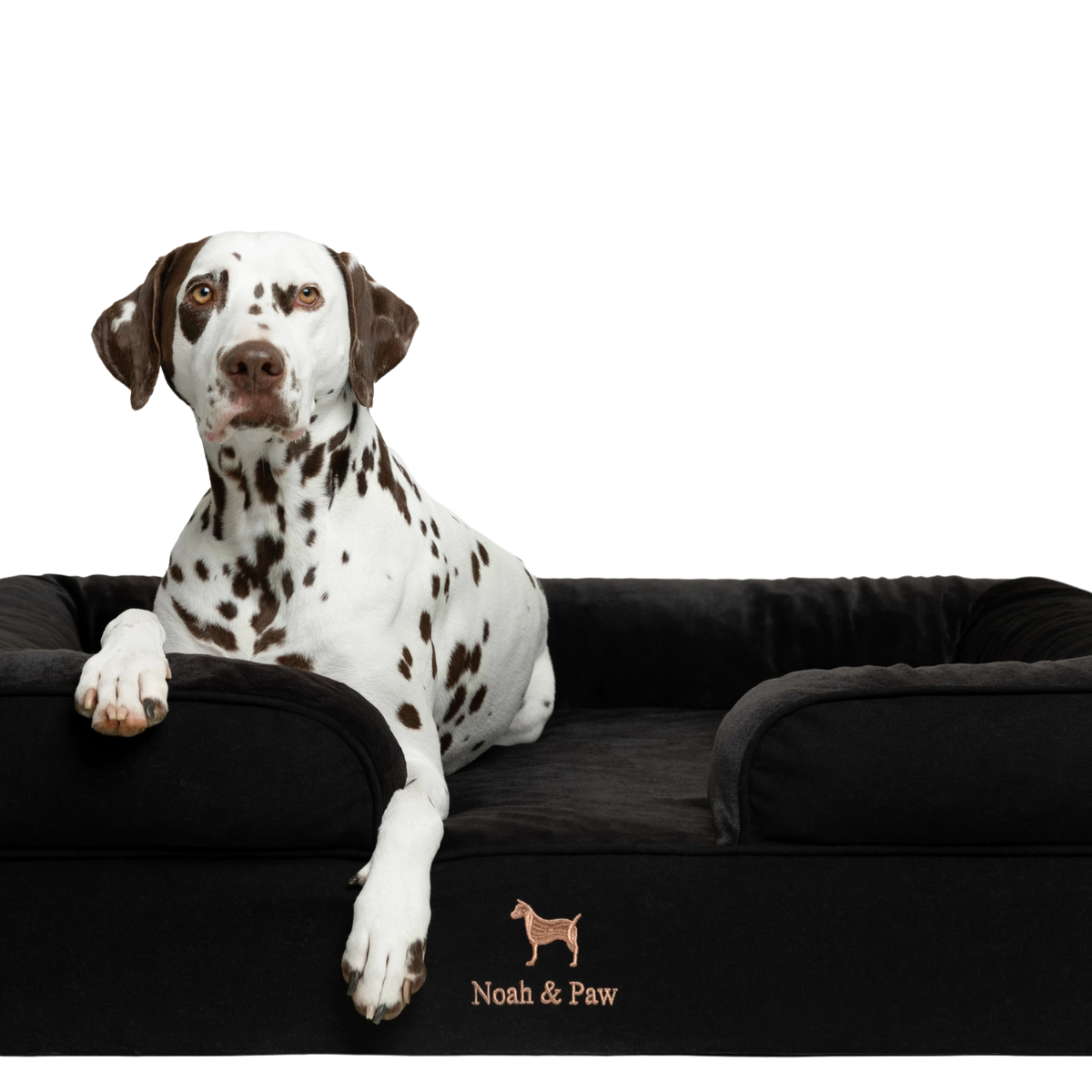Denim Orthopedic Memory Foam Pet Bed – Noah and Paw