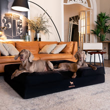 Noah & Paw orthopedic sofa dog bed in denim with memory foam and cooling gel, black, size XXL (55 x 45 x 11 in)