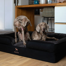 Noah & Paw orthopedic sofa dog bed in denim with memory foam and cooling gel, black, size XXL (55 x 45 x 11 in)
