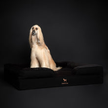 Noah & Paw orthopedic sofa dog bed in denim with memory foam and cooling gel, black, size XXL (55 x 45 x 11 in)