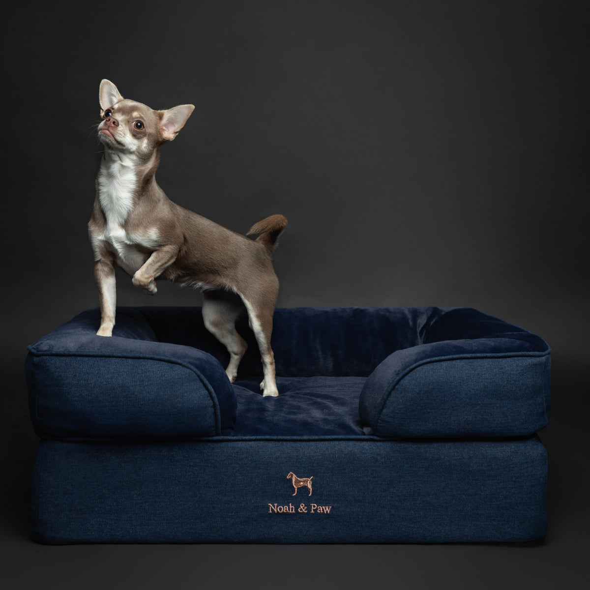 Noah & Paw orthopedic sofa dog bed in denim with memory foam and cooling gel, dark blue, size M (28 x 23 x 11 in)
