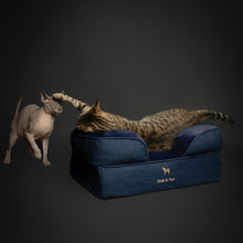 Noah & Paw orthopedic sofa dog bed in denim with memory foam and cooling gel, dark blue, size S (20 x 15 x 8 in)