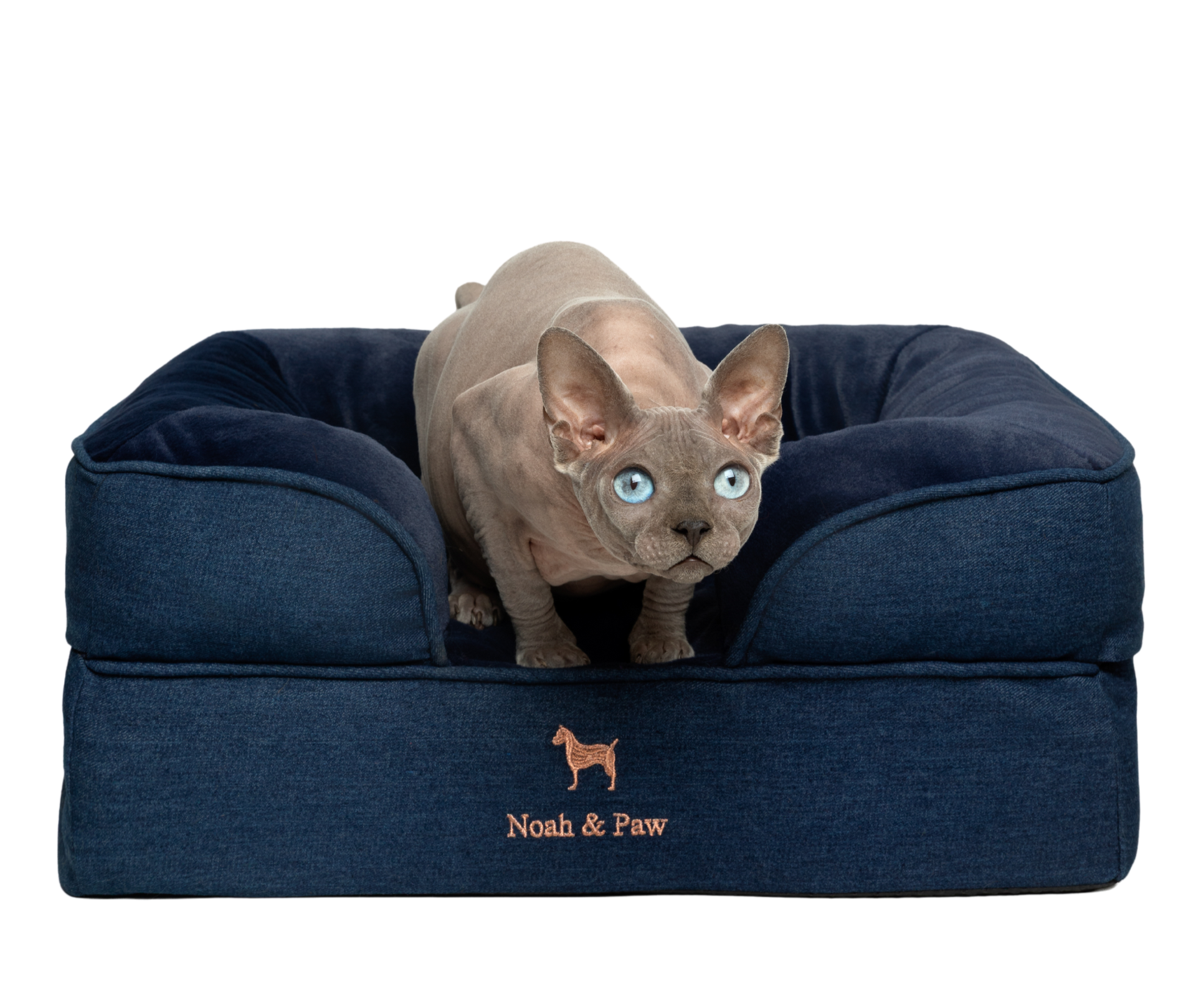 Denim Orthopedic Memory Foam Pet Bed – Noah and Paw