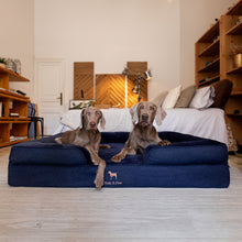 Noah & Paw orthopedic sofa dog bed in denim with memory foam and cooling gel, dark blue, size XL (45 x 35 x 11 in)