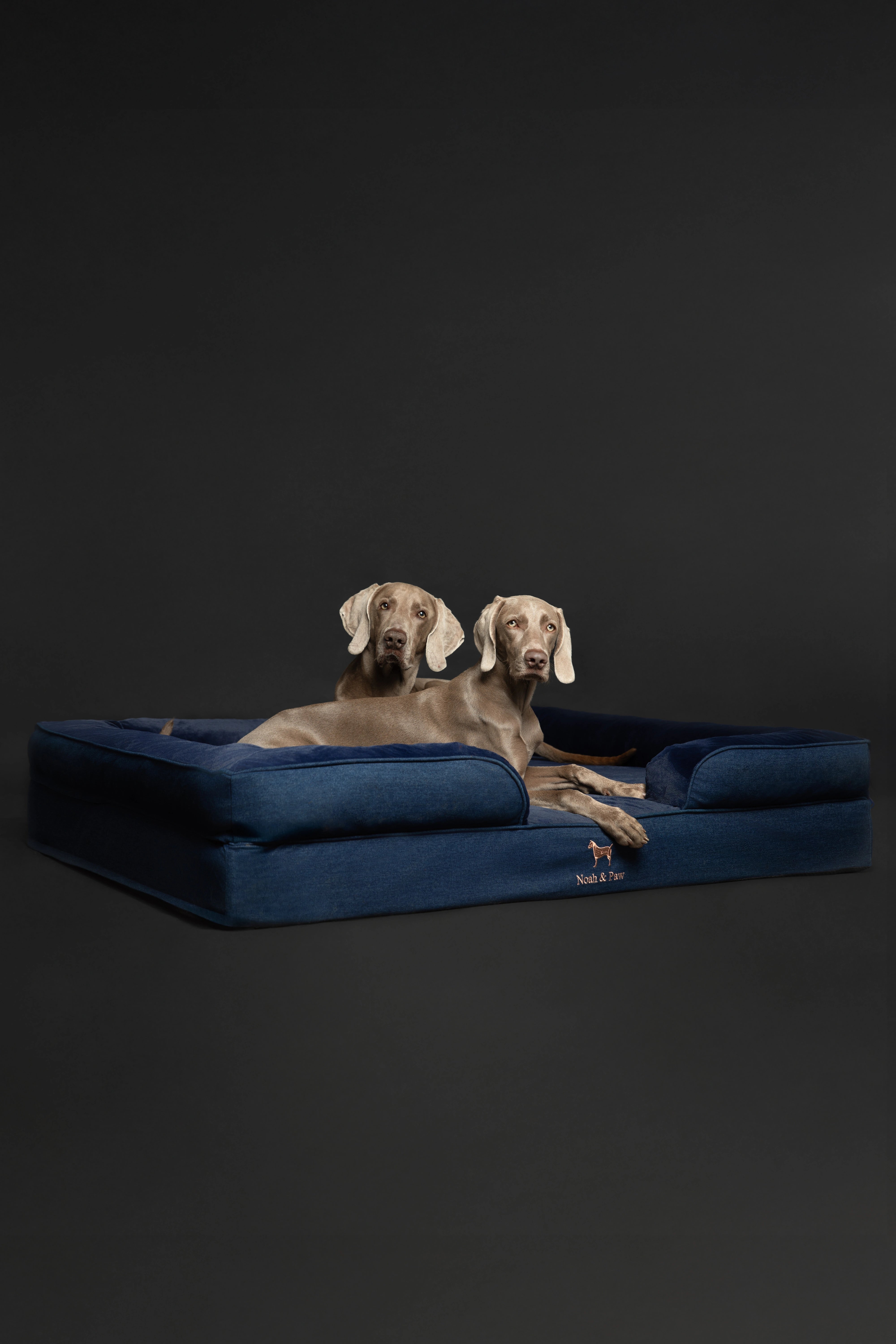 Denim, Orthopedic Pet Bed, Sofa Style - Dark Blue - XXL