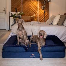 Noah & Paw orthopedic sofa dog bed in denim with memory foam and cooling gel, dark blue, size XXL (55 x 45 x 11 in)