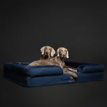Denim Orthopedic Pet Bed, Memory Foam, Infused with Cooling Gel