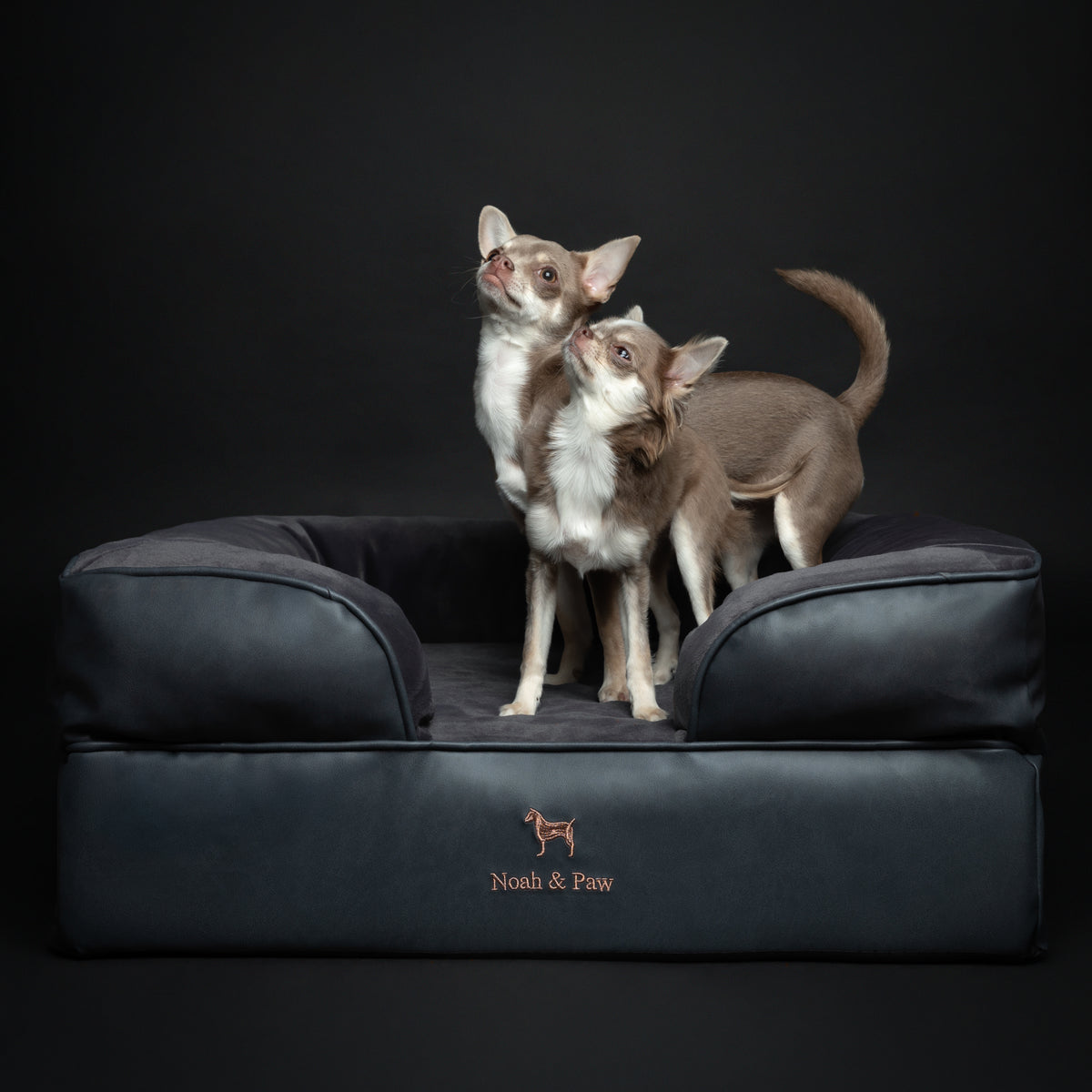 Noah & Paw orthopedic sofa dog bed in faux leather with memory foam and cooling gel, black, size M (28 x 23 x 11 in)