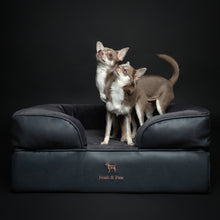 Noah & Paw orthopedic sofa dog bed in faux leather with memory foam and cooling gel, black, size M (28 x 23 x 11 in)