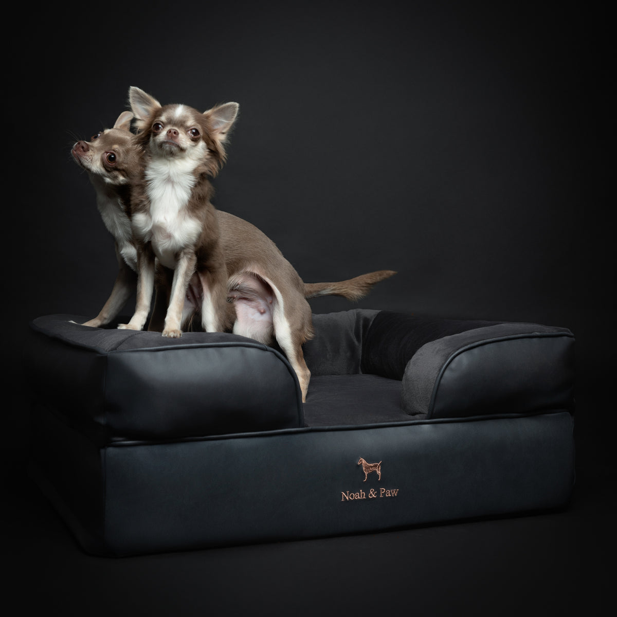 Noah & Paw orthopedic sofa dog bed in faux leather with memory foam and cooling gel, black, size M (28 x 23 x 11 in)