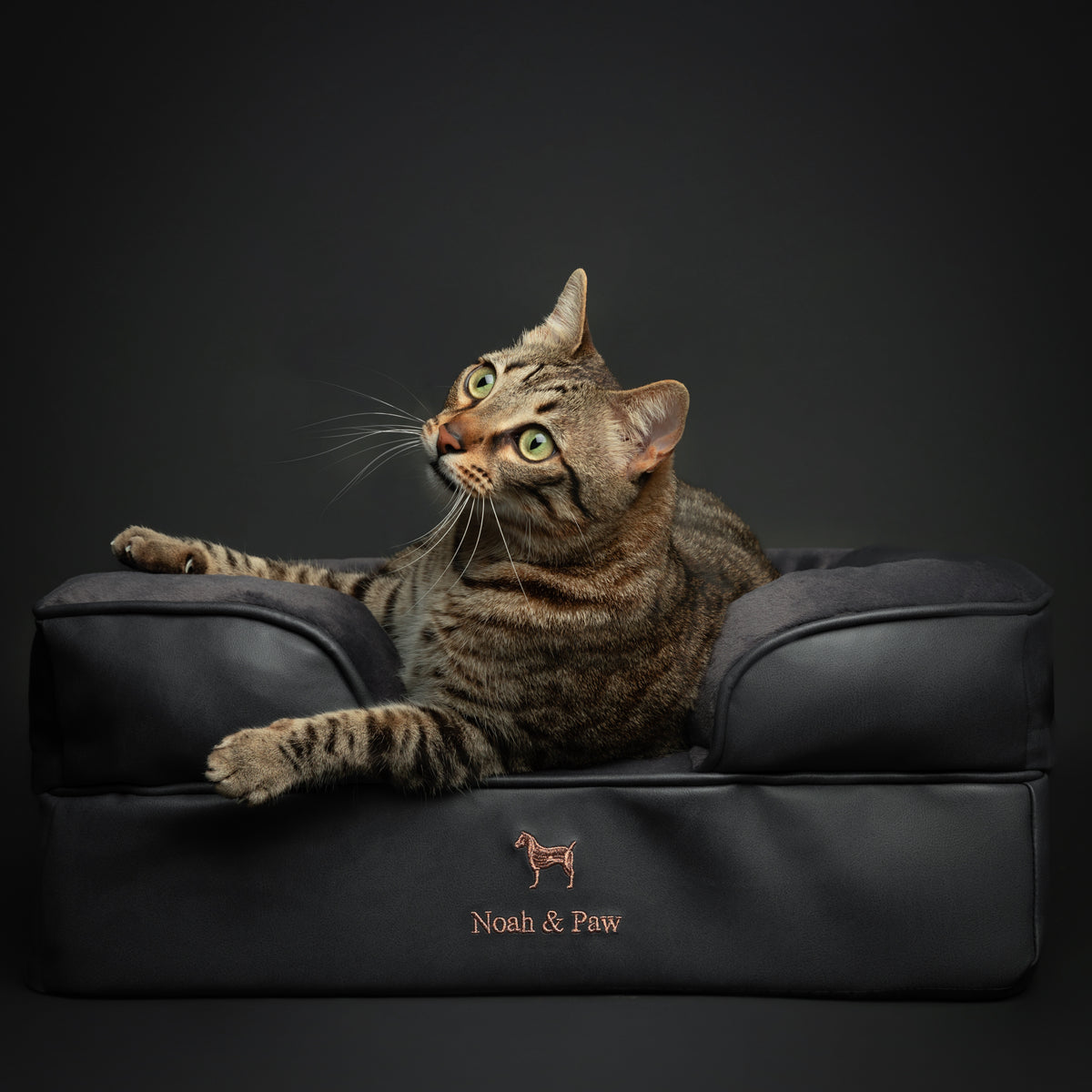 Noah & Paw orthopedic sofa dog bed in faux leather with memory foam and cooling gel, black, size S (20 x 15 x 8 in)