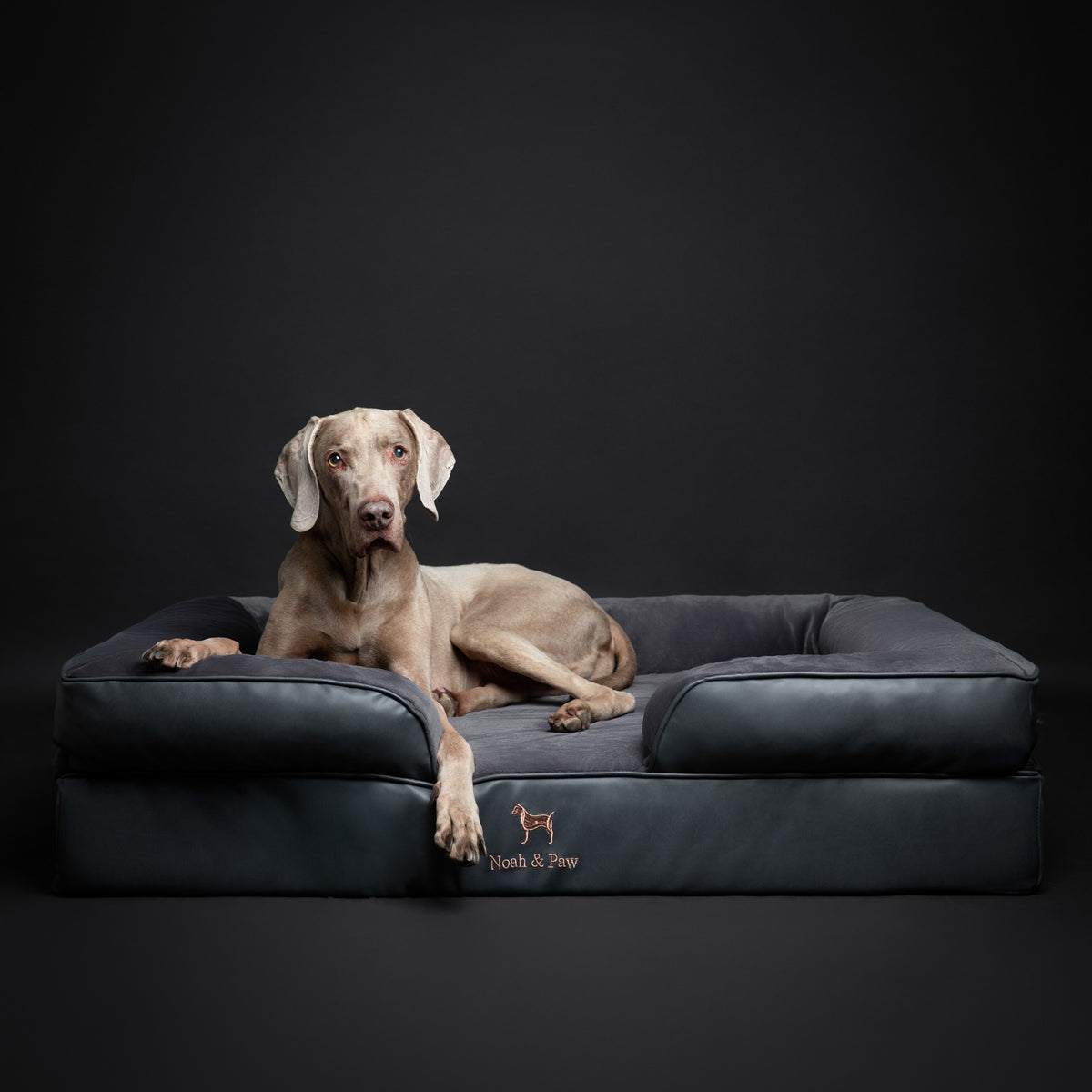 Noah & Paw orthopedic sofa dog bed in faux leather with memory foam and cooling gel, black, size XL (45 x 35 x 11 in)