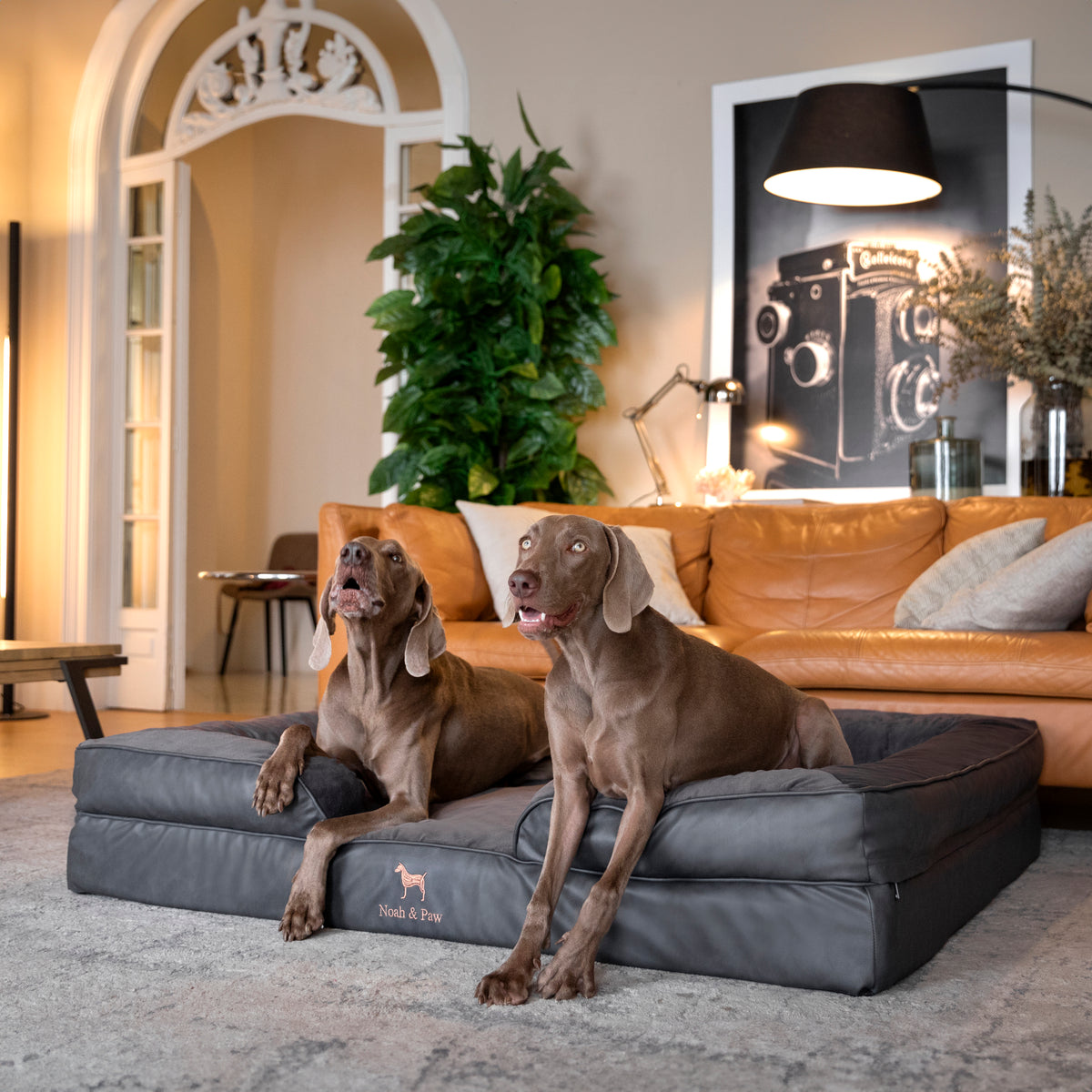Noah & Paw orthopedic sofa dog bed in faux leather with memory foam and cooling gel, black, size XXL (55 x 45 x 11 in)