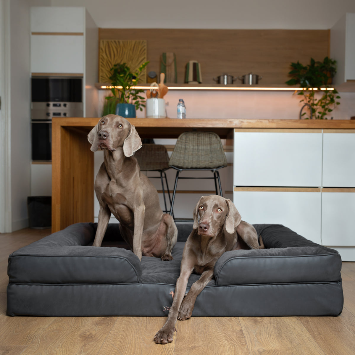 Noah & Paw orthopedic sofa dog bed in faux leather with memory foam and cooling gel, black, size XXL (55 x 45 x 11 in)