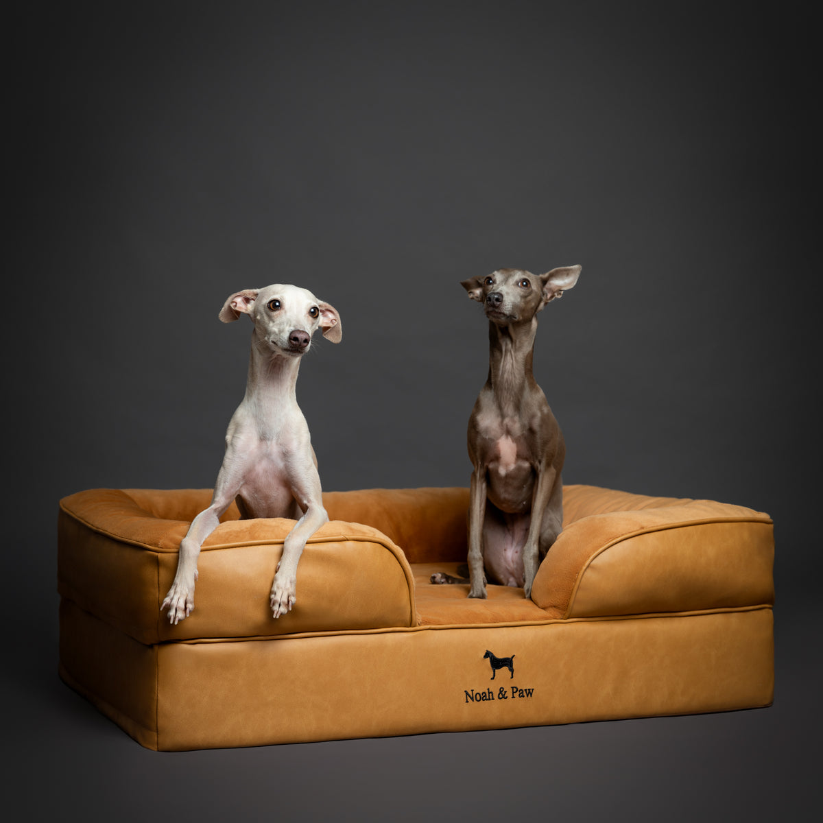 Noah & Paw orthopedic sofa dog bed in faux leather with memory foam and cooling gel, camel, size L (35 x 25 x 11 in)