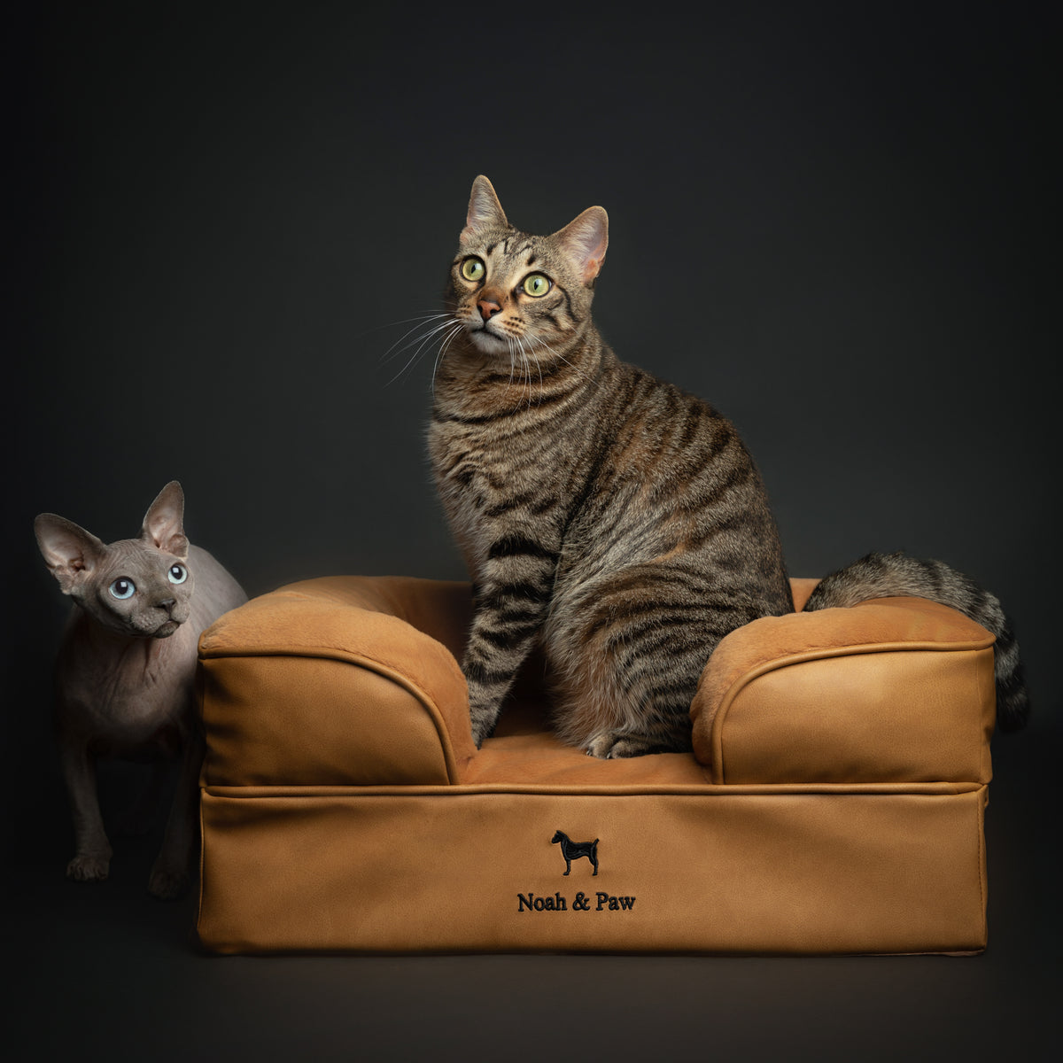 Noah & Paw orthopedic sofa dog bed in faux leather with memory foam and cooling gel, camel, size S (20 x 15 x 8 in)