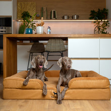 Noah & Paw orthopedic sofa dog bed in faux leather with memory foam and cooling gel, camel, size XXL (55 x 45 x 11 in)