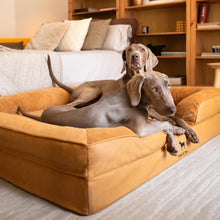Noah & Paw orthopedic sofa dog bed in faux leather with memory foam and cooling gel, camel, size XXL (55 x 45 x 11 in)