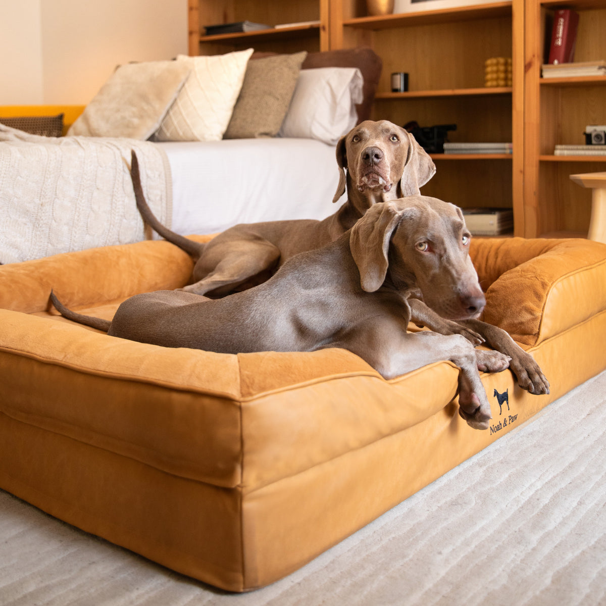 Noah & Paw orthopedic sofa dog bed in faux leather with memory foam and cooling gel, camel, size XXL (55 x 45 x 11 in)