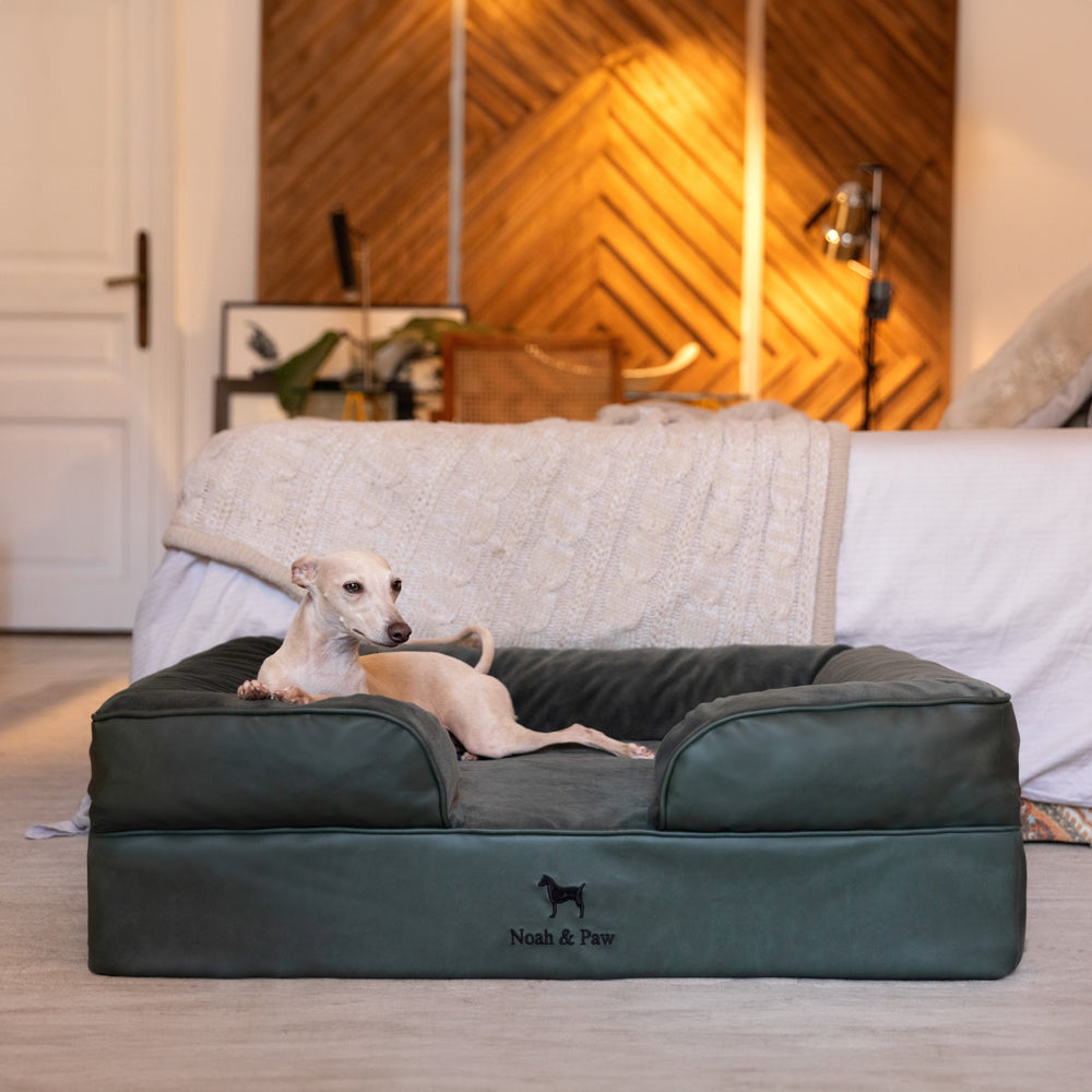 Noah & Paw orthopedic sofa dog bed in faux leather with memory foam and cooling gel, dark green, size L (35 x 25 x 11 in)
