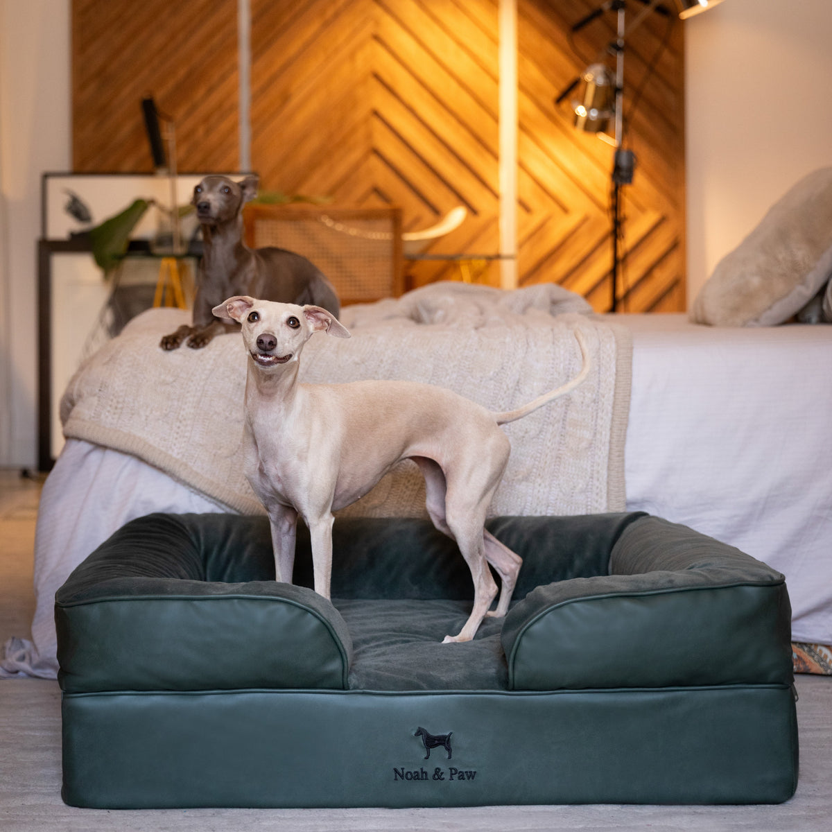 Noah & Paw orthopedic sofa dog bed in faux leather with memory foam and cooling gel, dark green, size L (35 x 25 x 11 in)