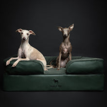 Noah & Paw orthopedic sofa dog bed in faux leather with memory foam and cooling gel, dark green, size L (35 x 25 x 11 in)