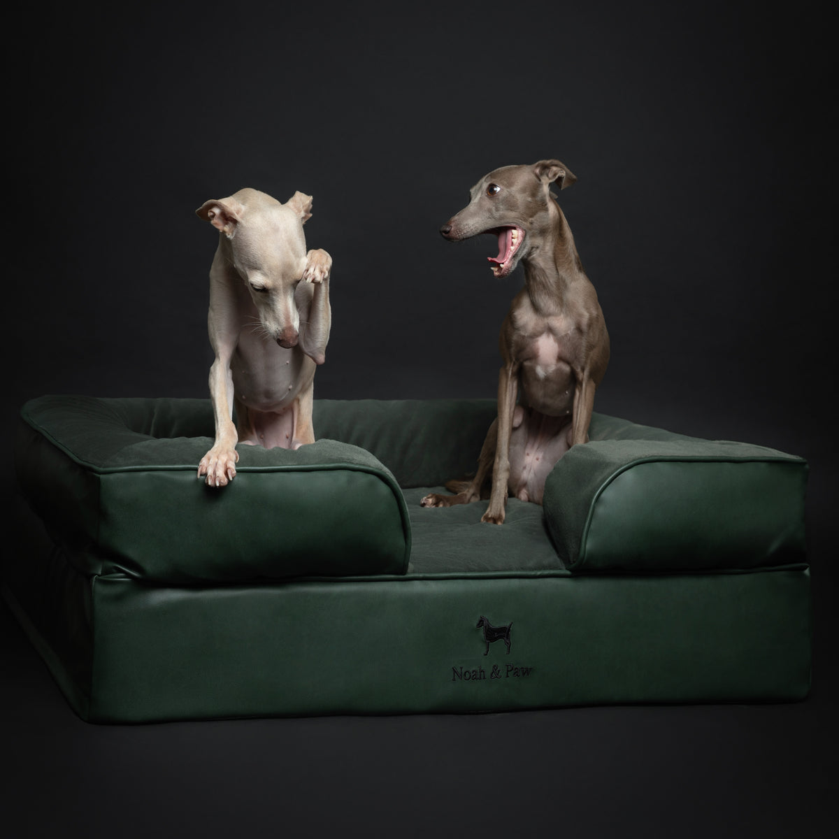 Noah & Paw orthopedic sofa dog bed in faux leather with memory foam and cooling gel, dark green, size L (35 x 25 x 11 in)