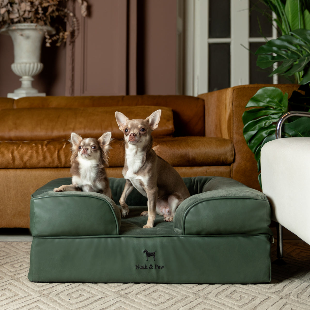 Noah & Paw orthopedic sofa dog bed in faux leather with memory foam and cooling gel, dark green, size M (28 x 23 x 11 in)