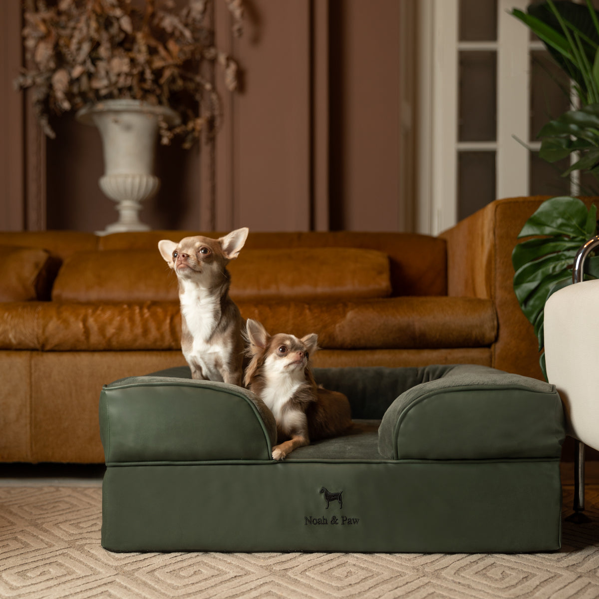 Noah & Paw orthopedic sofa dog bed in faux leather with memory foam and cooling gel, dark green, size M (28 x 23 x 11 in)