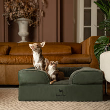 Noah & Paw orthopedic sofa dog bed in faux leather with memory foam and cooling gel, dark green, size M (28 x 23 x 11 in)