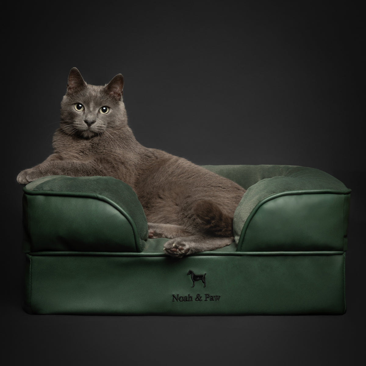 Noah & Paw orthopedic sofa dog bed in faux leather with memory foam and cooling gel, dark green, size S (20 x 15 x 8 in)
