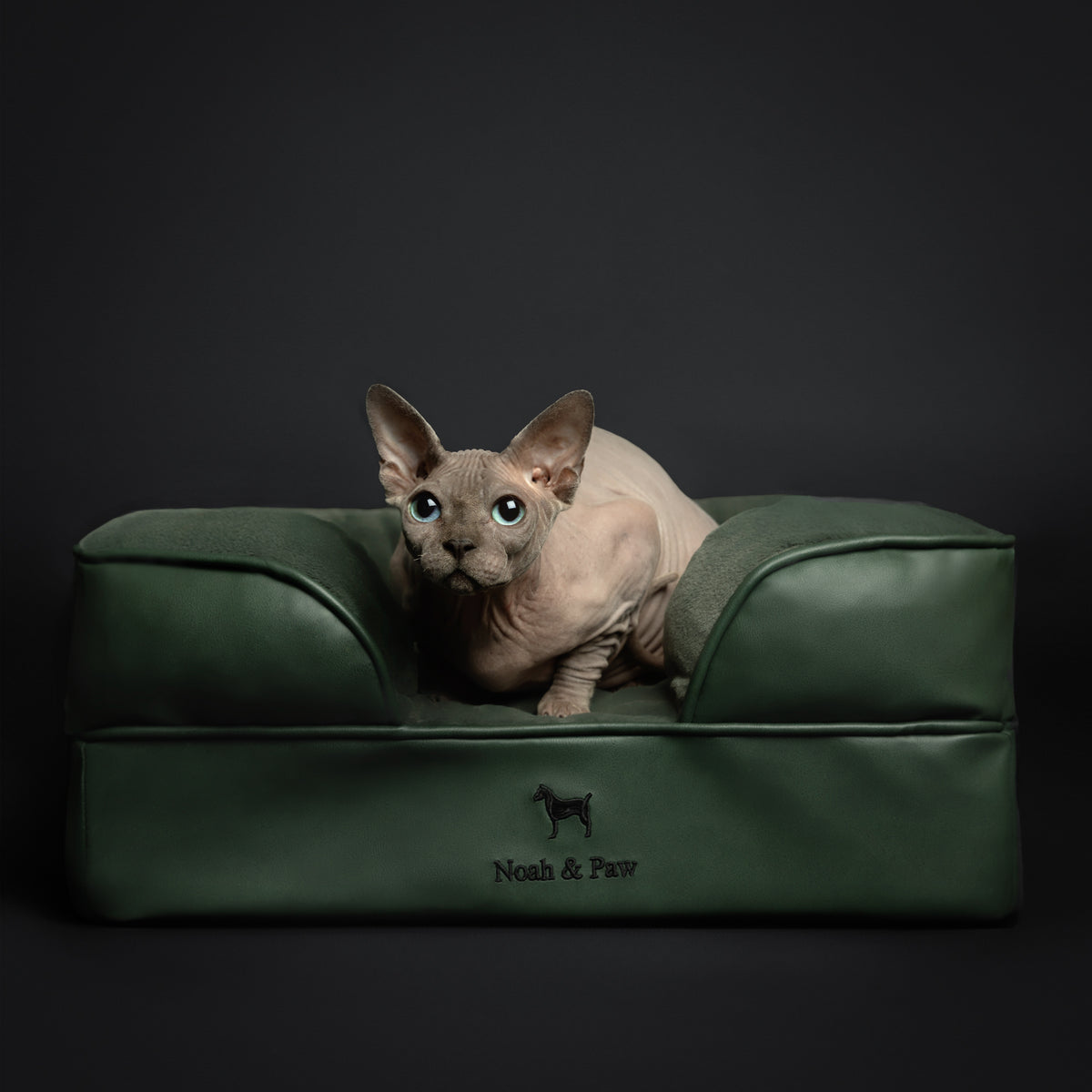 Noah & Paw orthopedic sofa dog bed in faux leather with memory foam and cooling gel, dark green, size S (20 x 15 x 8 in)