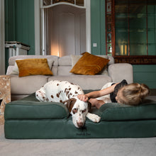 Noah & Paw orthopedic sofa dog bed in faux leather with memory foam and cooling gel, dark green, size XL (45 x 35 x 11 in)