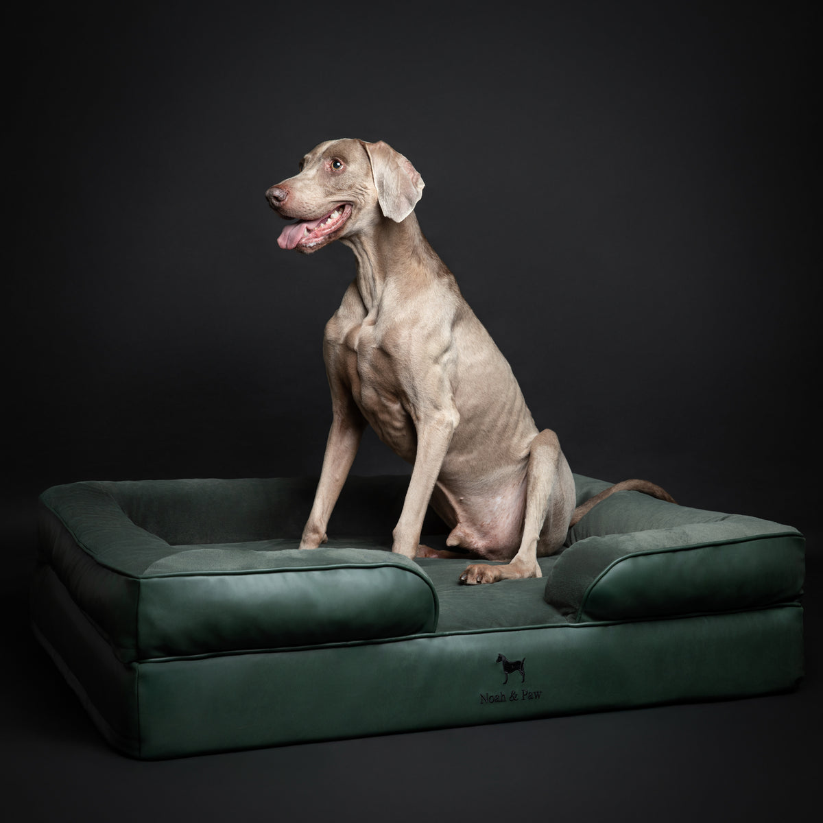 Noah & Paw orthopedic sofa dog bed in faux leather with memory foam and cooling gel, dark green, size XL (45 x 35 x 11 in)