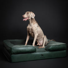 Noah & Paw orthopedic sofa dog bed in faux leather with memory foam and cooling gel, dark green, size XL (45 x 35 x 11 in)