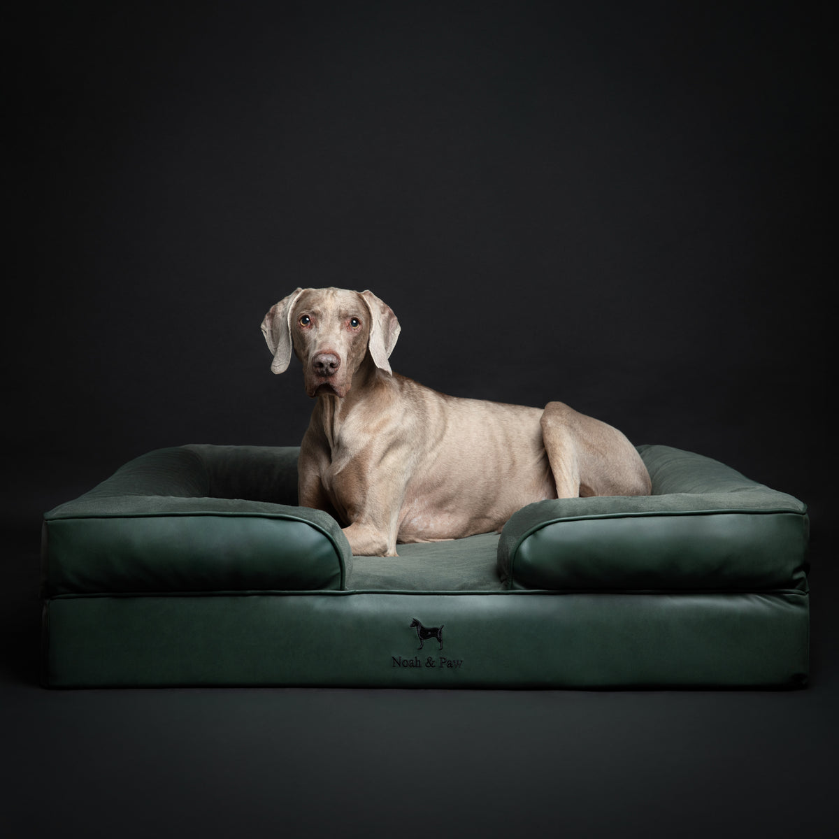 Faux Leather, Orthopedic Pet Bed, Eggshell Memory Foam, Infused with Cooling Gel, Sofa Style