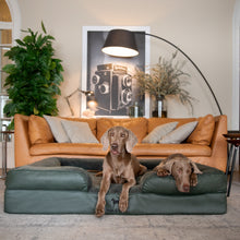 Noah & Paw orthopedic sofa dog bed in faux leather with memory foam and cooling gel, dark green, size XXL (55 x 45 x 11 in)
