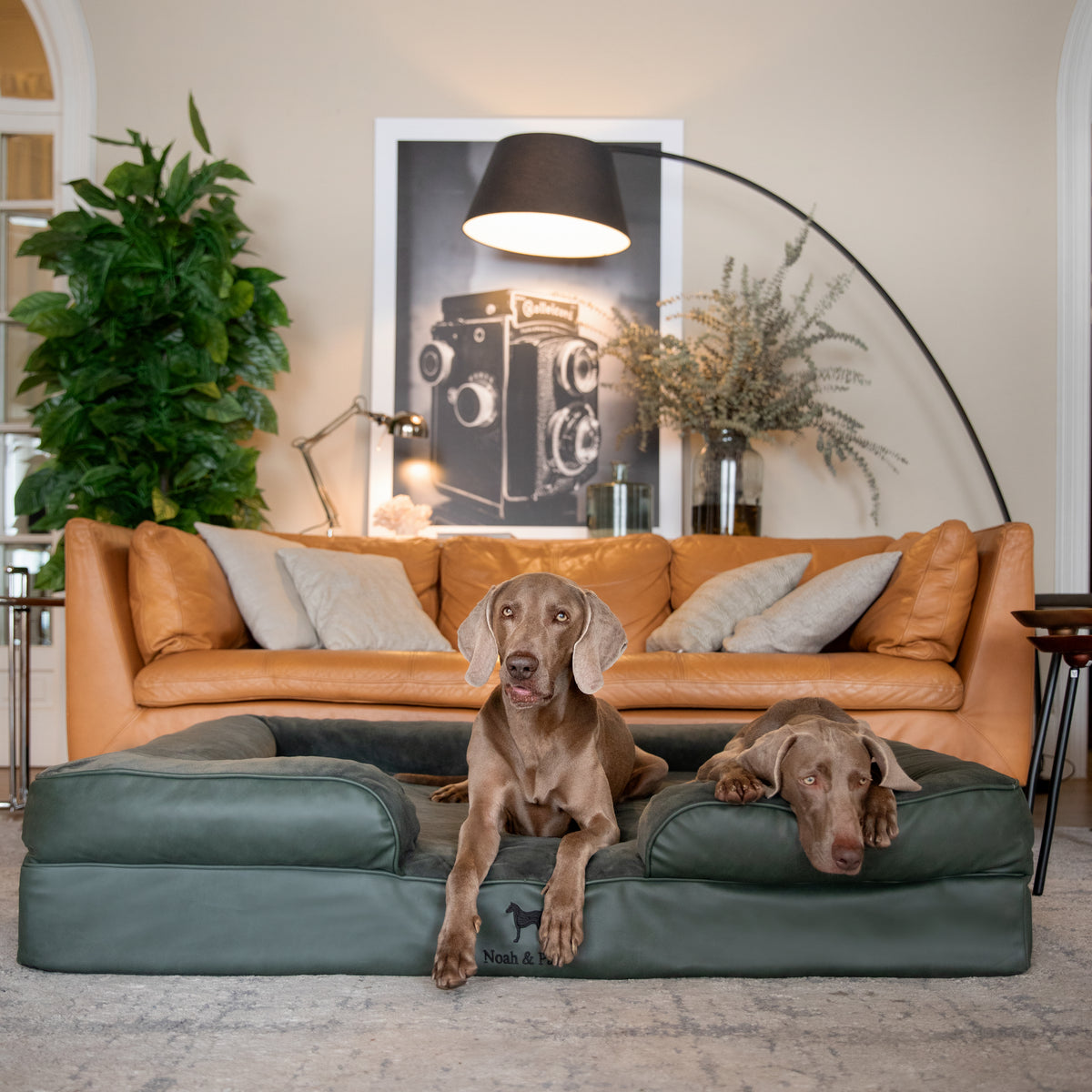 Noah & Paw orthopedic sofa dog bed in faux leather with memory foam and cooling gel, dark green, size XXL (55 x 45 x 11 in)