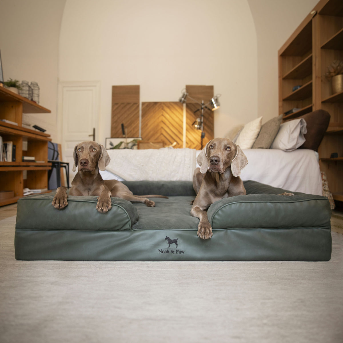 Noah & Paw orthopedic sofa dog bed in faux leather with memory foam and cooling gel, dark green, size XXL (55 x 45 x 11 in)