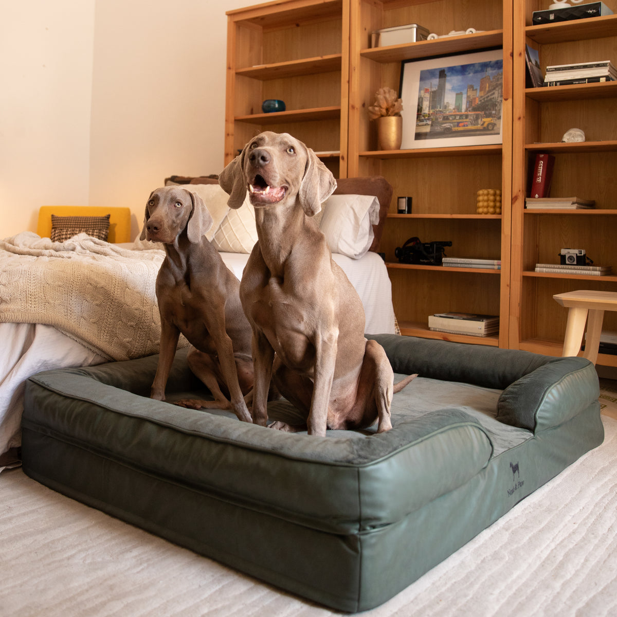 Noah & Paw orthopedic sofa dog bed in faux leather with memory foam and cooling gel, dark green, size XXL (55 x 45 x 11 in)