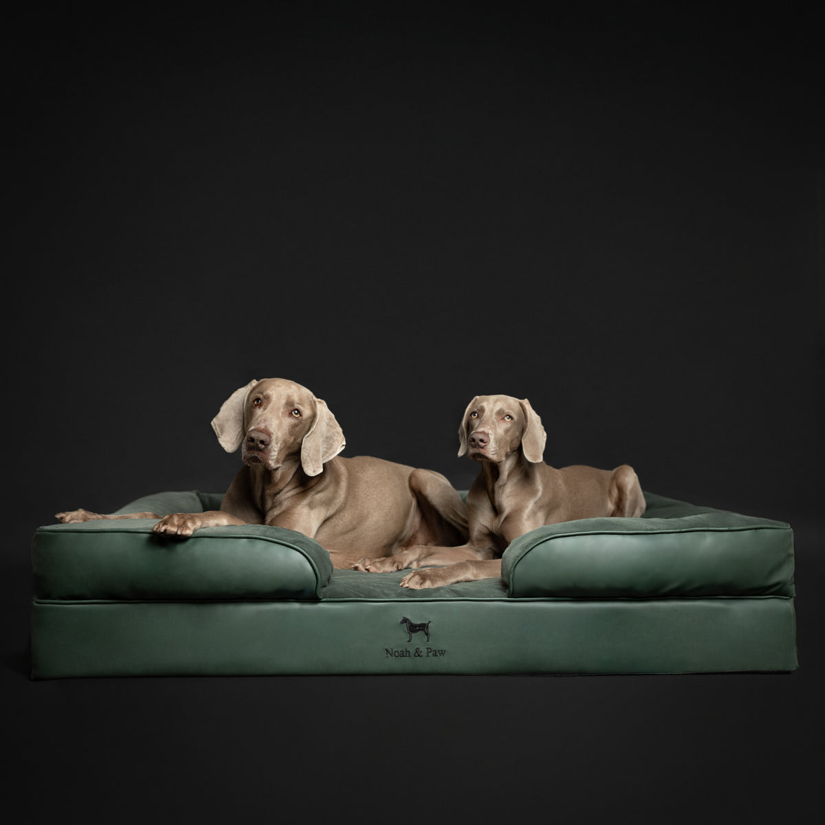 Noah & Paw orthopedic sofa dog bed in faux leather with memory foam and cooling gel, dark green, size XXL (55 x 45 x 11 in)