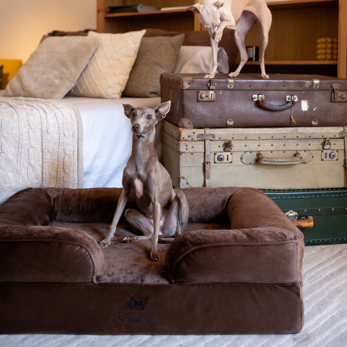 Noah & Paw orthopedic sofa dog bed in velvet with memory foam and cooling gel, brown, size L (35 x 25 x 11 in)