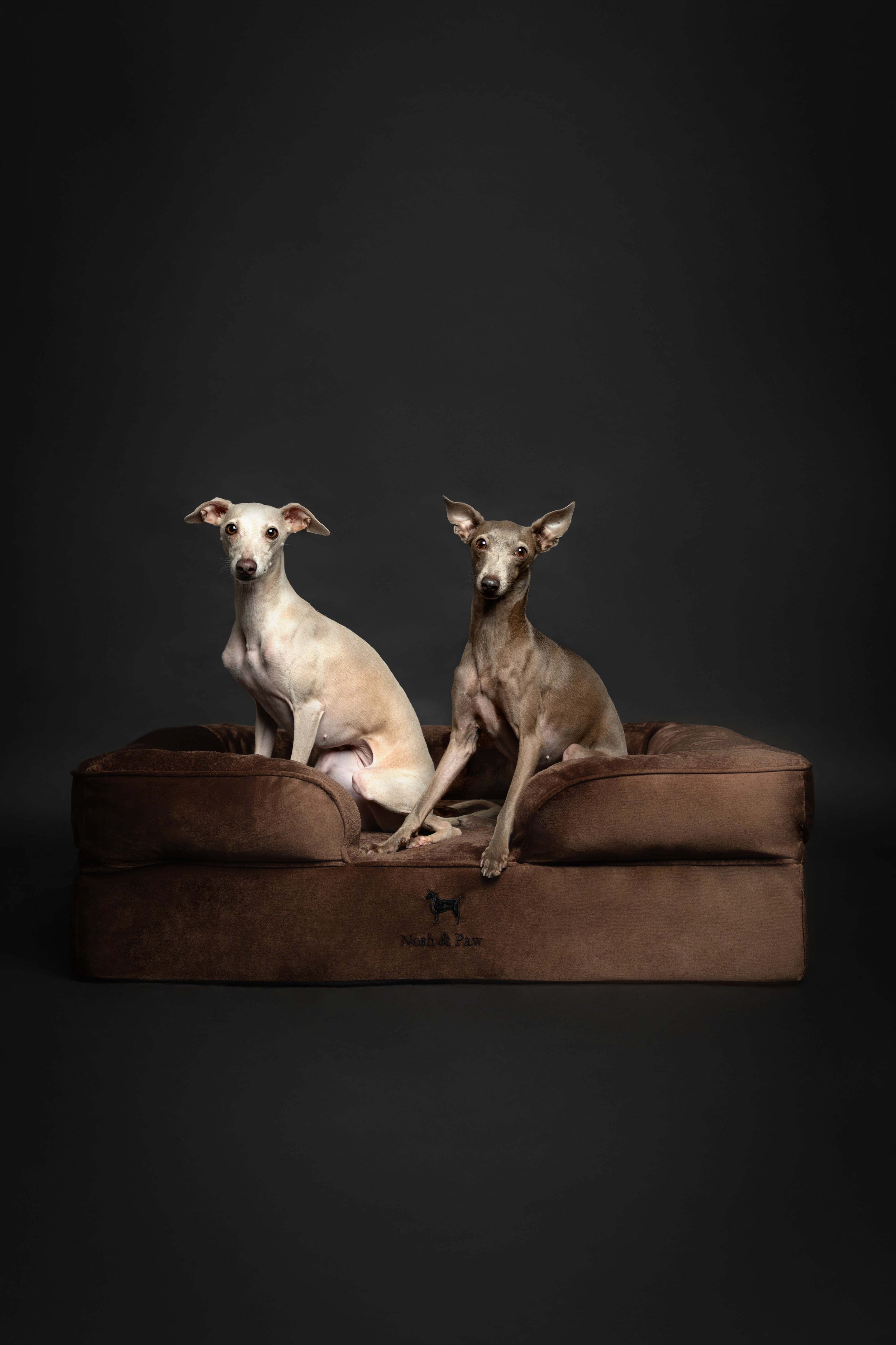 Velvet, Orthopedic Pet Bed, Sofa Style - Brown - L
