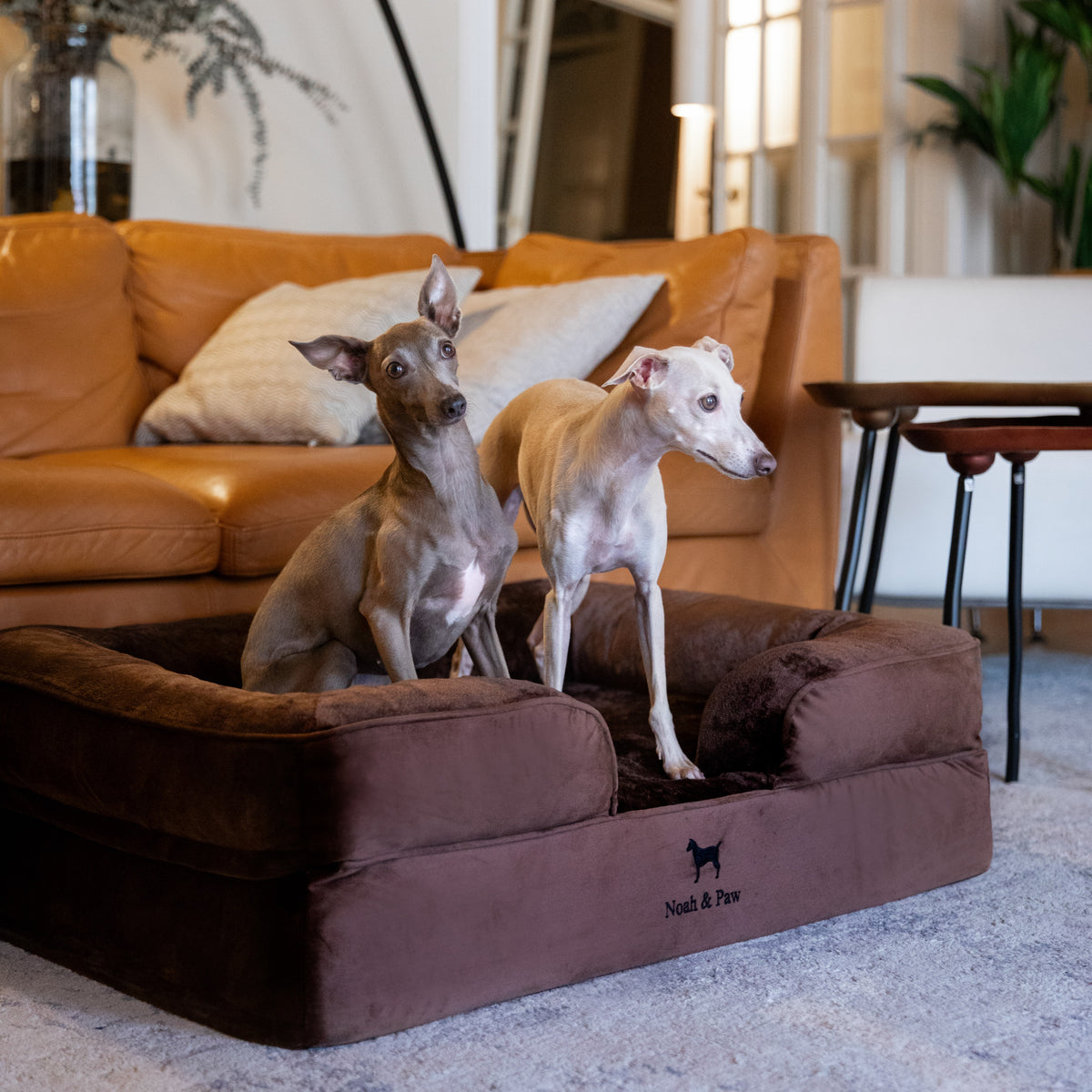 Noah & Paw orthopedic sofa dog bed in velvet with memory foam and cooling gel, brown, size L (35 x 25 x 11 in)