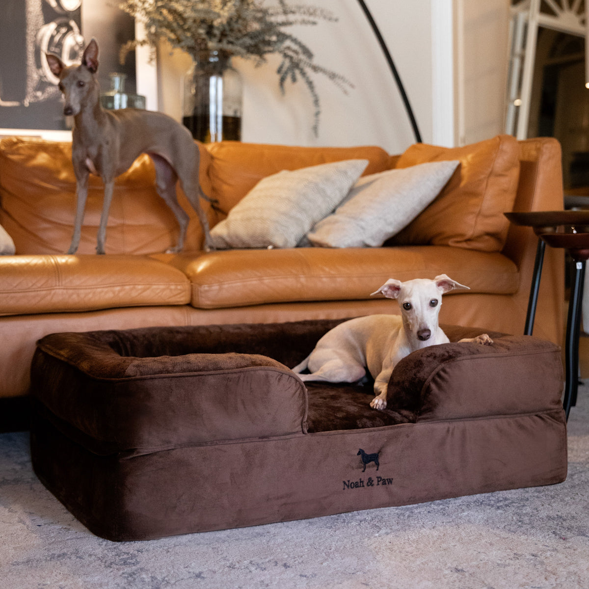 Noah & Paw orthopedic sofa dog bed in velvet with memory foam and cooling gel, brown, size L (35 x 25 x 11 in)