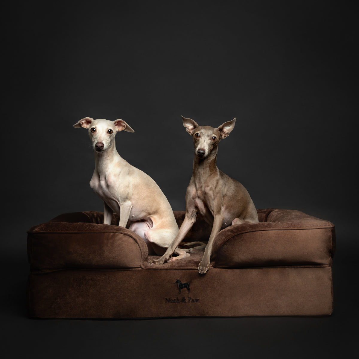 Noah & Paw orthopedic sofa dog bed in velvet with memory foam and cooling gel, brown, size L (35 x 25 x 11 in)