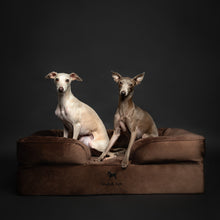 Noah & Paw orthopedic sofa dog bed in velvet with memory foam and cooling gel, brown, size L (35 x 25 x 11 in)
