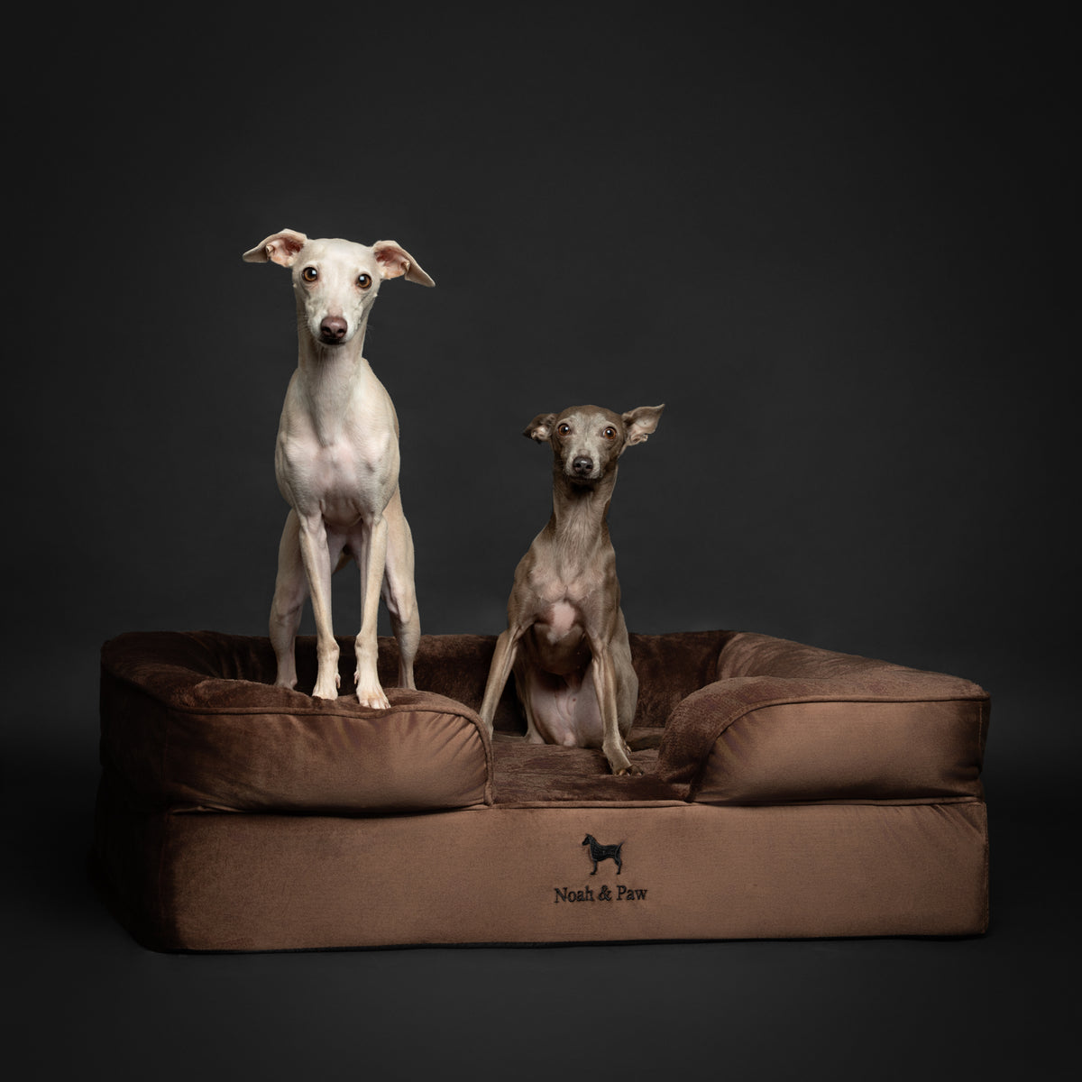 Noah & Paw orthopedic sofa dog bed in velvet with memory foam and cooling gel, brown, size L (35 x 25 x 11 in)